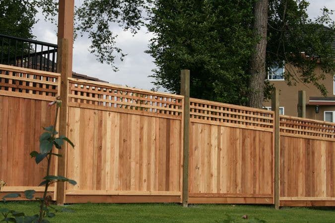 Cedar privacy fence with square lattice top in an established yard