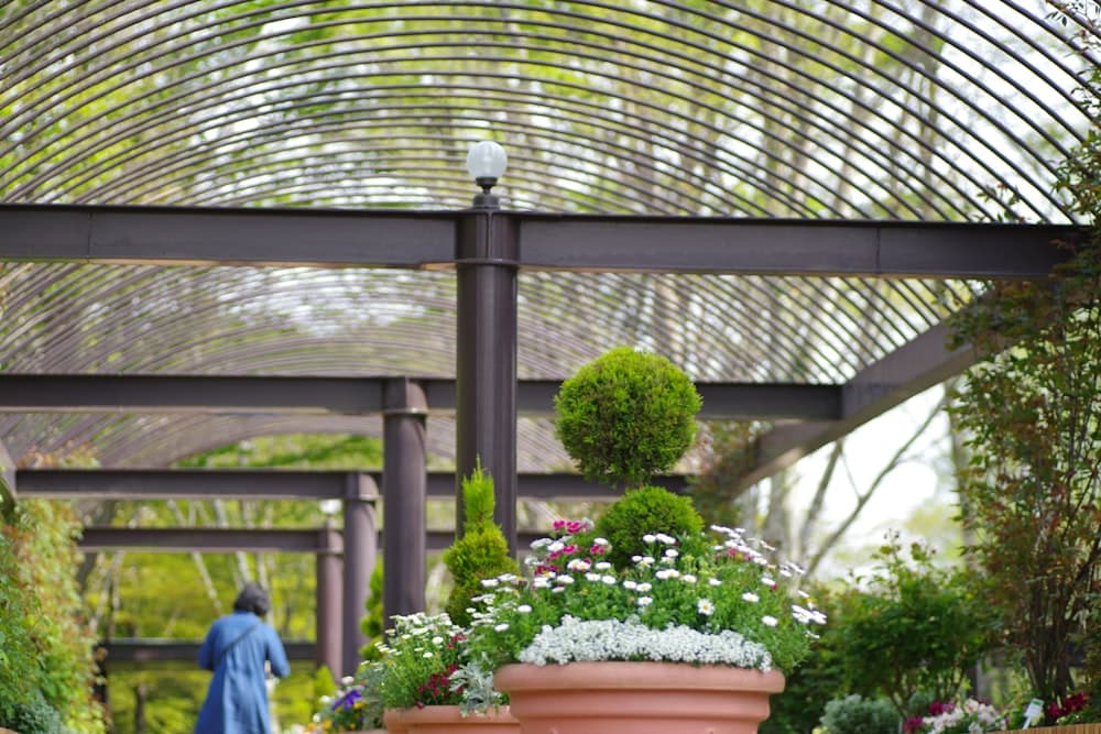 Cedar pergola with planters in a garden