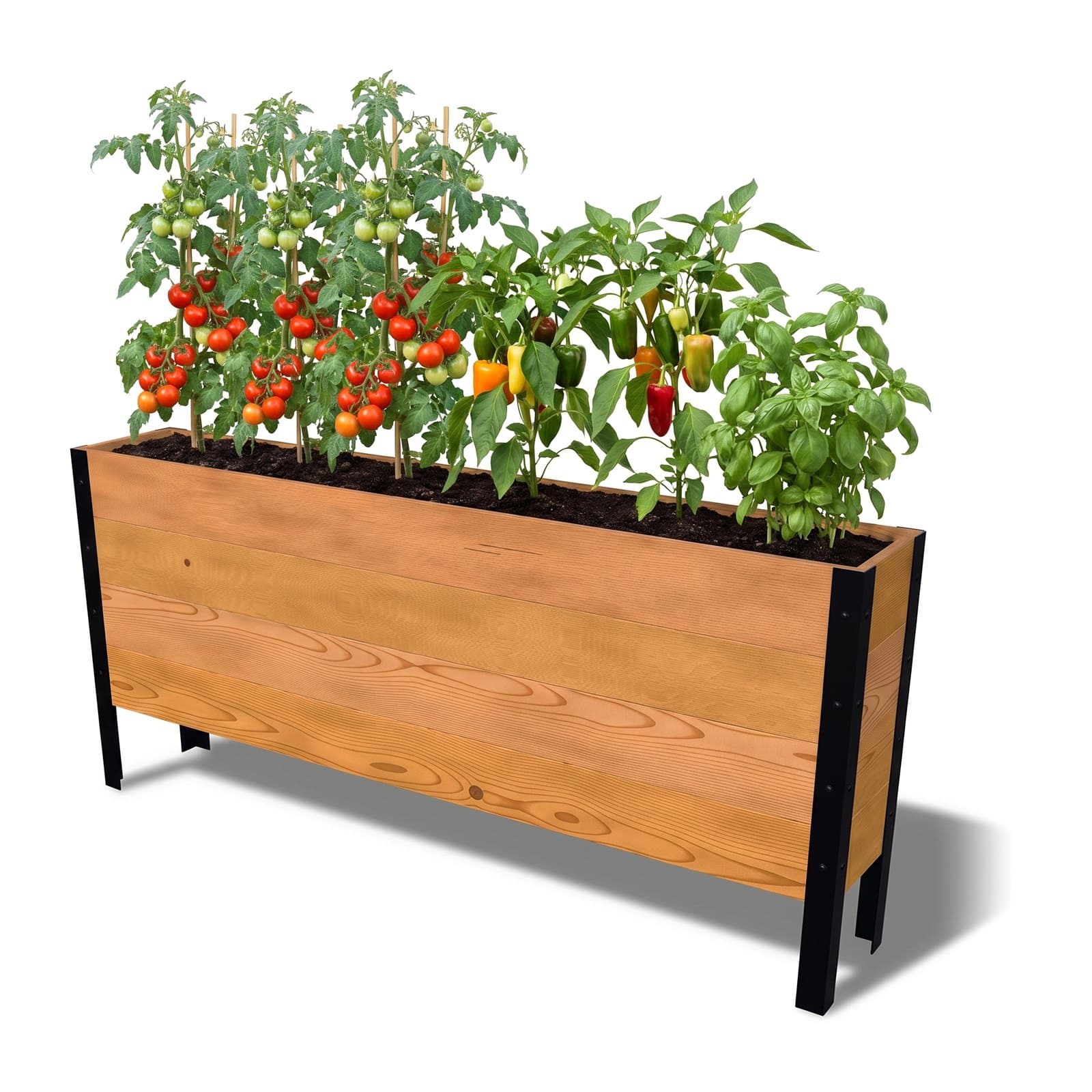 Illustration of the 11.5 by 72 inch cedar raised garden bed, Deep, Knotty grade, planted with a row of tomatoes, peppers and basil