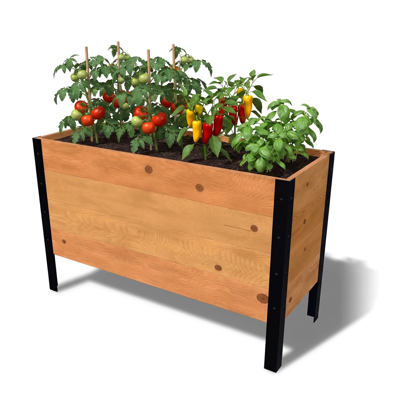 Illustration of the 18 by 48 inch cedar raised garden bed, Deep, Knotty grade, planted with tomatoes, peppers and basil