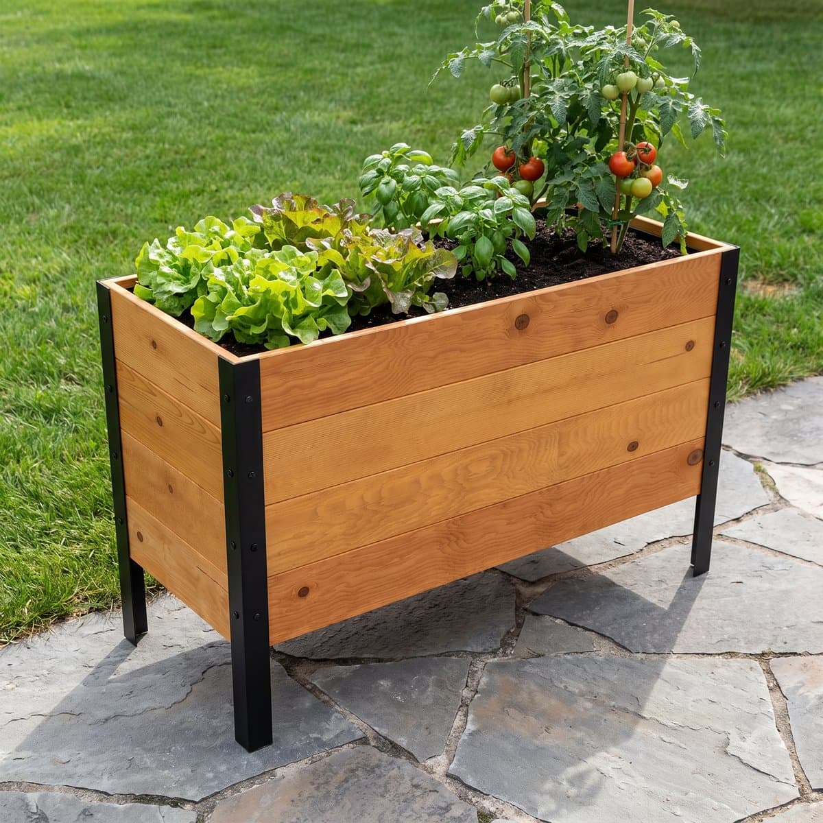 Illustration of a cedar raised garden bed on black steel legs, planted with lettuce, basil and a staked tomato, on a flagstone patio beside a lawn